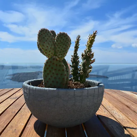 Cocoon (adults Only) מלון 3*