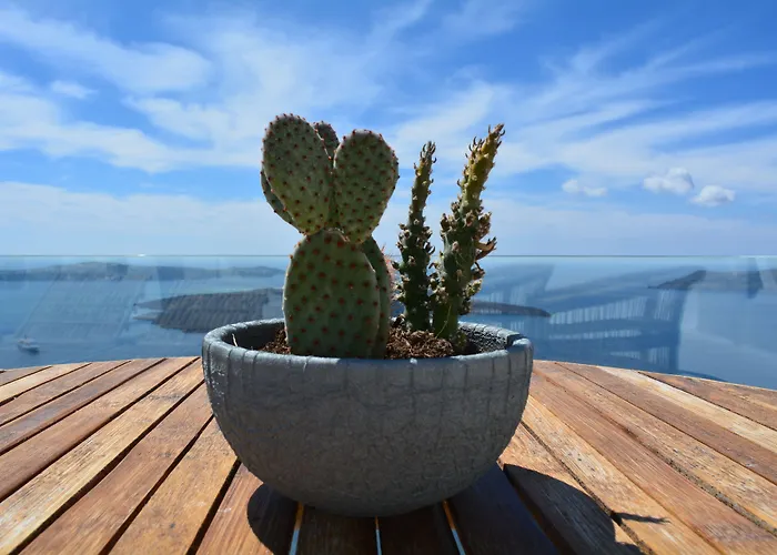 Cocoon (adults Only) Hotel 3*